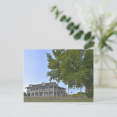 Berghaus und Strangler Fig. Postkarte (Stehend Vorderseite)