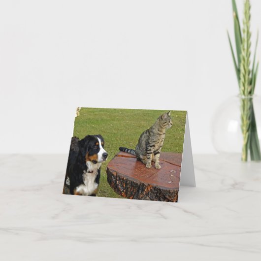 Berghund mit Katze Dankeskarte (Vorderseite)
