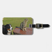 Berghund mit Katze Gepäckanhänger (Vorderseite horizontal)