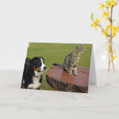 Berghund mit Katze Karte (Gelbe Blume)