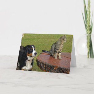 Berghund mit Katze Karte