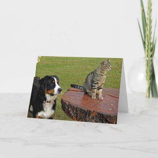 Berghund mit Katze Karte (Vorderseite)