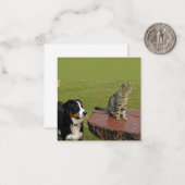 Berghund mit Katze Mitteilungskarte (Vorderseite/Rückseite Beispiel)