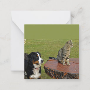 Berghund mit Katze Mitteilungskarte