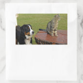 Berghund mit Katze Rechteckiger Aufkleber (Tasche)