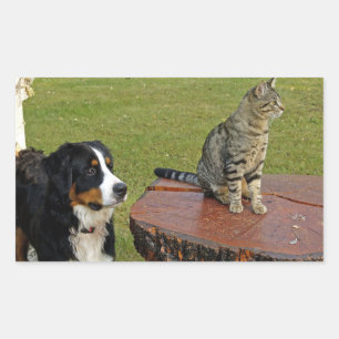 Berghund mit Katze Rechteckiger Aufkleber