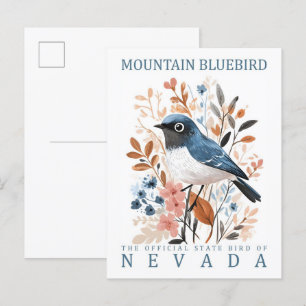 Berghüttensänger Vogel von Nevada USA Postkarte
