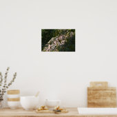 Bergibex Poster (Küche)