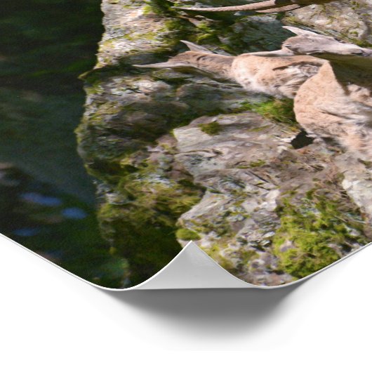 Bergibex Poster (Ecke)