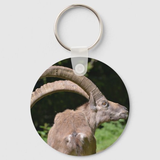 Bergibex schließen schlüsselanhänger (Vorderseite)