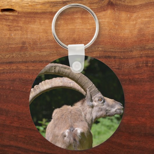 Bergibex schließen schlüsselanhänger (Vorderseite)