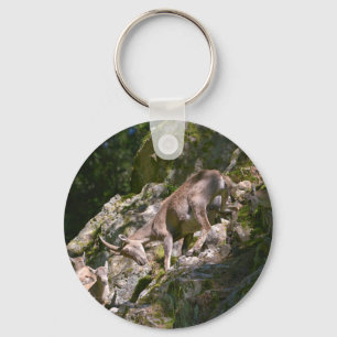 Bergibex Schlüsselanhänger