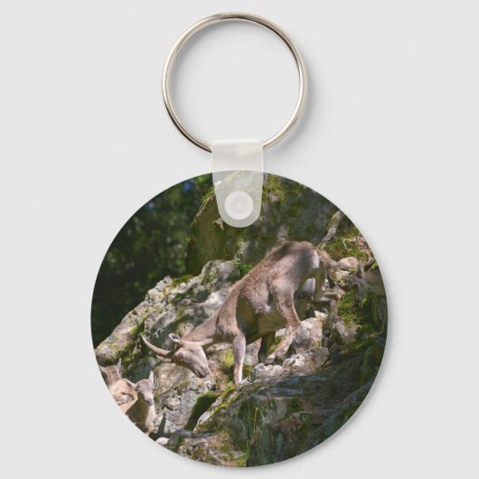 Bergibex Schlüsselanhänger (Vorderseite)