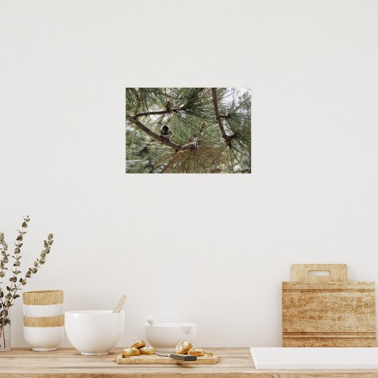 Bergkichade im Pine Tree Poster (Küche)