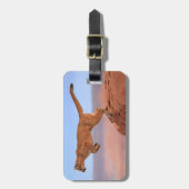 Bergland Gepäckanhänger (Vorderseite vertikal)