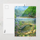 Berglandfisch Postkarte (Vorne/Hinten)
