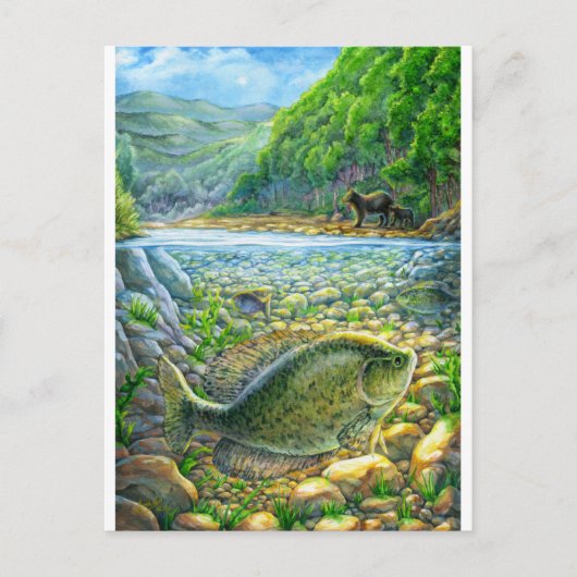 Berglandfisch Postkarte (Vorderseite)
