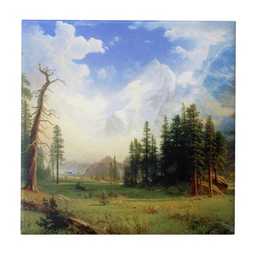 Berglandschaft Fliese (Vorderseite)