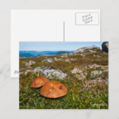 Berglandschaft Foto Postkarte. Norwegen Postkarte (Vorne/Hinten)