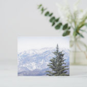 Berglandschaft mit Kiefer | Postkarte (Stehend Vorderseite)