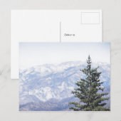 Berglandschaft mit Kiefer | Postkarte (Vorne/Hinten)