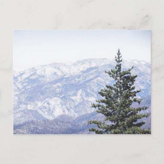 Berglandschaft mit Kiefer | Postkarte (Vorderseite)