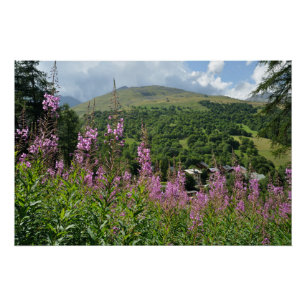 Berglandschaft Poster