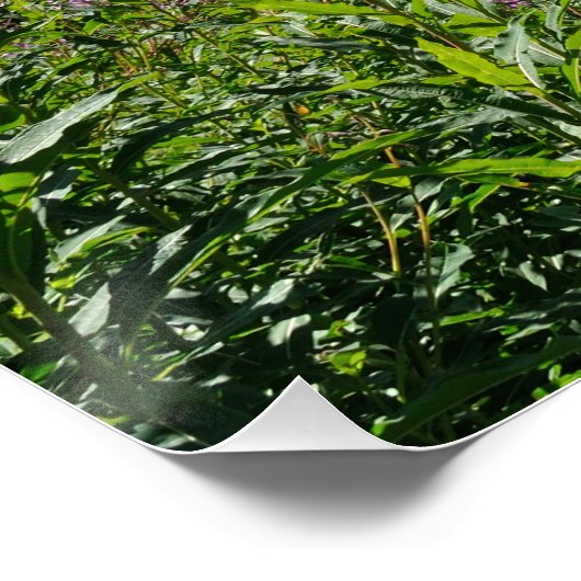 Berglandschaft Poster (Ecke)