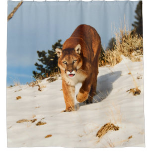 Berglauf auf einem schneebedeckten Hügel Duschvorhang