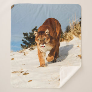 Berglauf auf einem schneebedeckten Hügel Sherpadecke