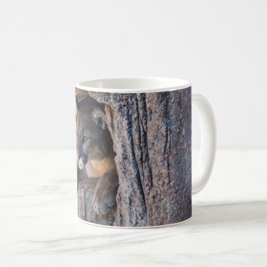 Berglauf in Höhle Kaffeetasse (VorderseiteRechts)