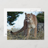 Berglauf Postkarte (Vorne/Hinten)