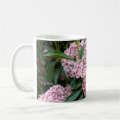 Berglaurel auf einer Tasse (Links)