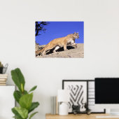 Bergleuchte auf dem Stalk Print Poster (Heimbüro)