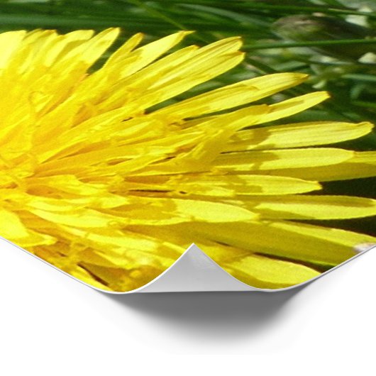 Bergleuchten Poster (Ecke)