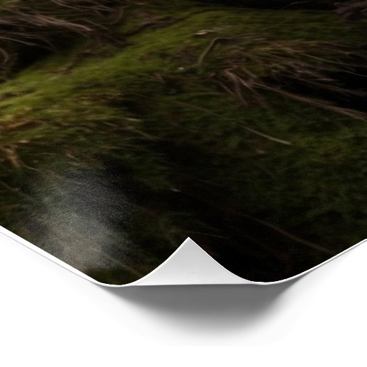 Bergliion an einem Felsenpool Poster (Ecke)