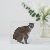 Berglion auf Go Postkarte (Stehend Vorderseite)