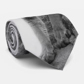 Berglion in Schwarz und Weiß Krawatte (Gerollt)