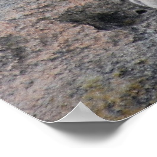 Berglionenklettern Poster (Ecke)