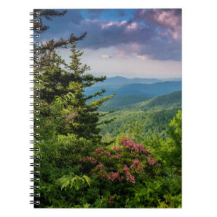 Berglorbeer bei Sonnenaufgang Notizblock