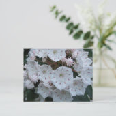 Berglorbeer blüht Postkarte (Stehend Vorderseite)