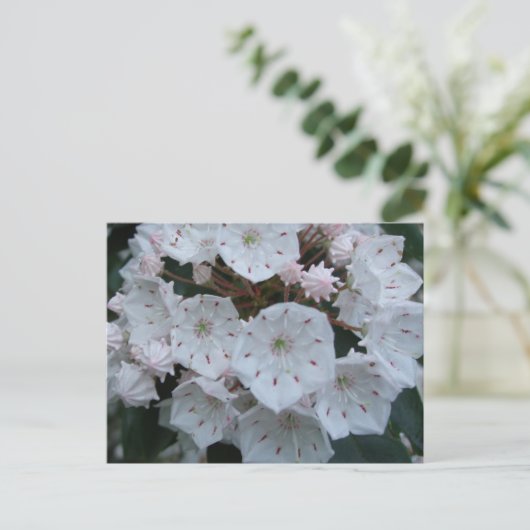 Berglorbeer blüht Postkarte (Stehend Vorderseite)