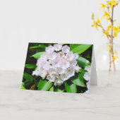 Berglorbeer-Gruß-Karte Karte (Gelbe Blume)