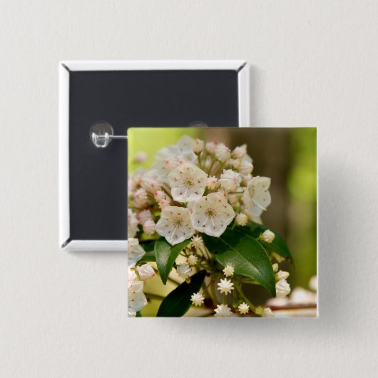 Berglorbeer in der Blüte Button (Vorne & Hinten)