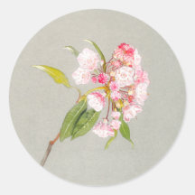 Berglorbeerblüten-Aufkleber