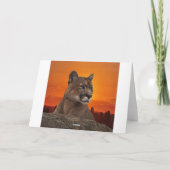 Berglöwe am Sonnenuntergang Karte (Rückseite)