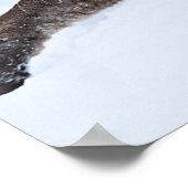 Berglöwe auf dem Hügel Poster (Ecke)