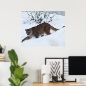 Berglöwe auf dem Hügel Poster (Heimbüro)