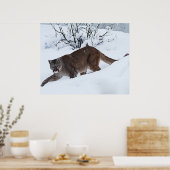 Berglöwe auf dem Hügel Poster (Küche)