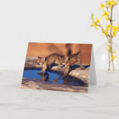 Berglöwe-CUB-Gruß-Karte Karte (Gelbe Blume)